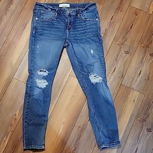 Maurices Jeans